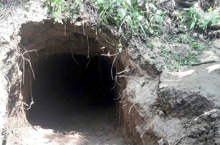 India-Pakistan Border: Alleged Tunnel Discoveries Escalate&nbsp;Tensions